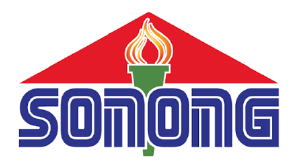 Sonong Company - Presencia en Sudamérica